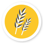 Clipart für Getreide