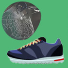 Symbolbilder: Spinnennetz und Turnschuh