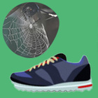 Indem die Bioökonomie biobasierte Alternativen zu Produkten auf Erdölbasis liefert, bietet sie grundsätzlich die Möglichkeit für nachhaltigeren Konsum. Symbolbilder: Spinnennetz und Turnschuh