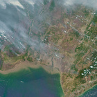 Durch die Veränderungen wird der Wald trockener. Immer wieder kommt es zu riesigen Waldbränden. Das NASA-Satellitenbild zeigt Borneo im Jahr 2015. NASA-Satellitenbild von Borneo