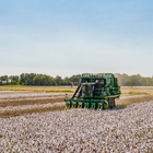 Ein Mähdräscher auf einem Feld