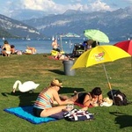 Badegäste am Thunersee in der Schweiz