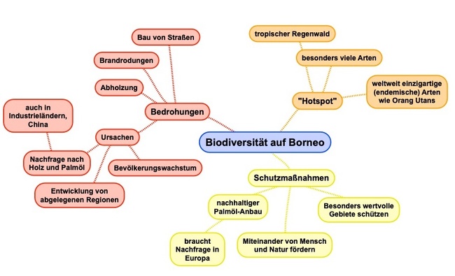 Eine Mindmap zeigt Bedrohungen und Schutzmaßnahmen für die Biodiversität auf Borneo