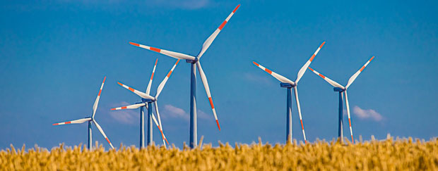 Windräder hinter Getreidefeld