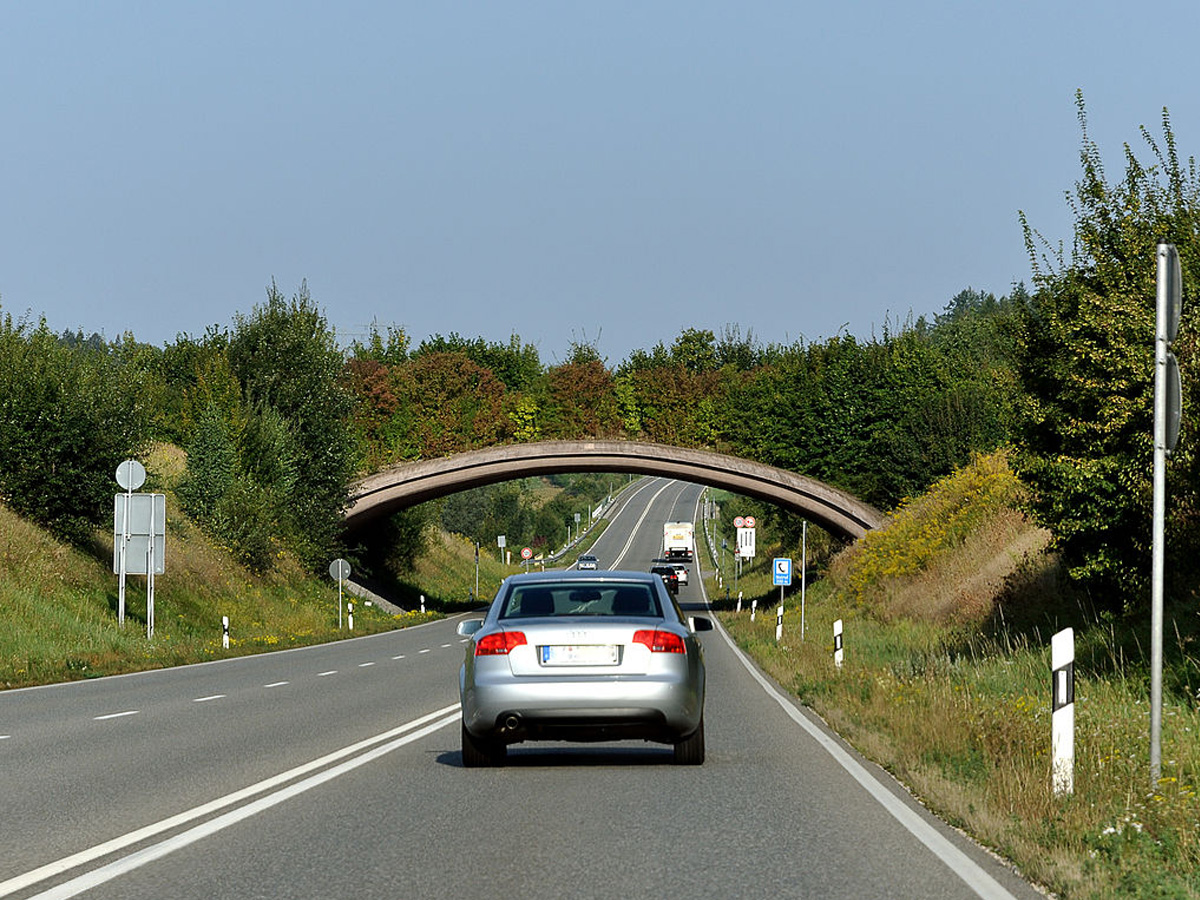 Eine Grünbrücke über der Autobahn