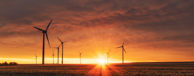 Im Mittelpunkt des Themenkomplexes steht die Frage, welche Rolle verschiedenen Energieträgern beim Umbau des Energiesystems zukommt. Windräder im Sonnenuntergang