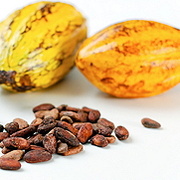 Kakaofrüchte und -bohnen
