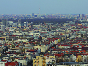 Grün oder grau?