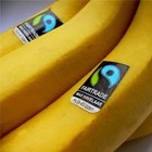 Bananen mit Fairtrade-Siegel