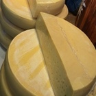 Käse ist lecker, aber nicht so gut für das Klima. Aufeinander gestapelte Käselaiber.