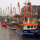 In den Schleppnetzten der Trawler verfangen sich verschiedenste Fische und Meerestiere. Der Beifang hat einen großen Anteil am gesamten Fang. Fischerbote im Hafen