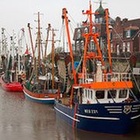 Fischerbote im Hafen