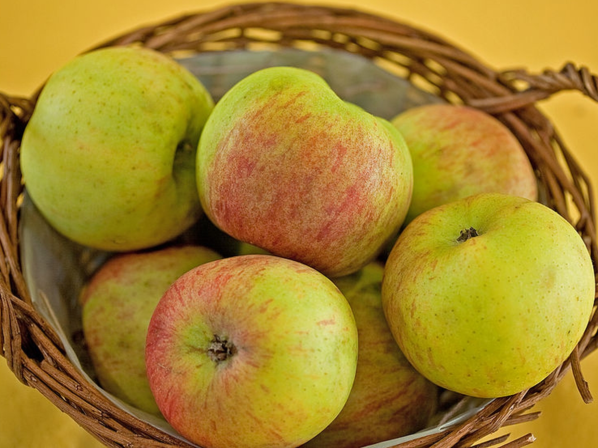 Sieben Äpfel in einem Weidenkorb; gelber Hintergrund.