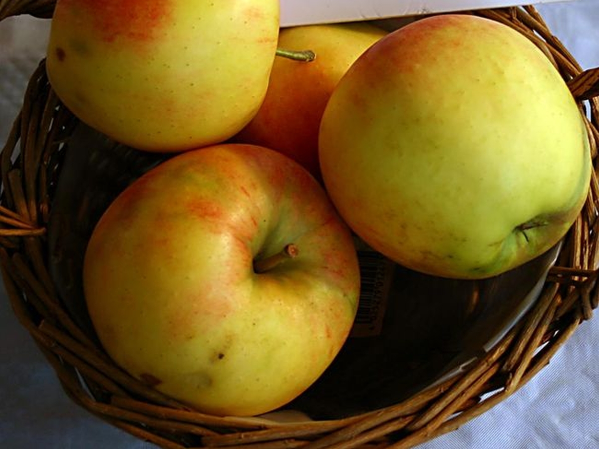 Vier Äpfel in einem geflochteten Korb; weißer Hintergrund.