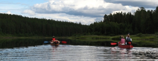 Zwei Zweierkanu auf einem Fluss; angrenzender Nadelwald.