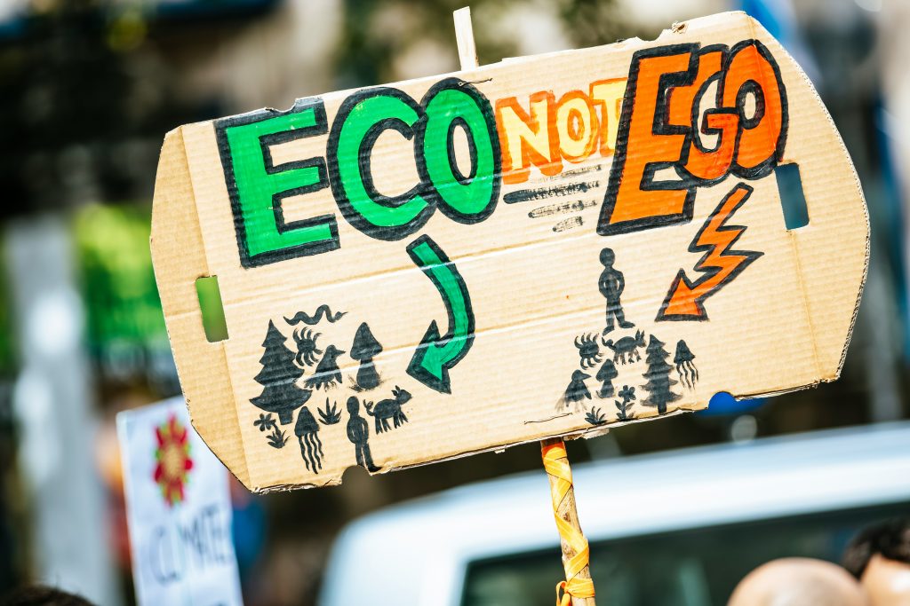 Pappschiild mit der Ausfschrift "Eco not Ego" auf einer Klima Demonstation