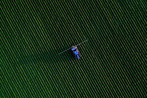 Blauer Traktor auf einem grünen Feld