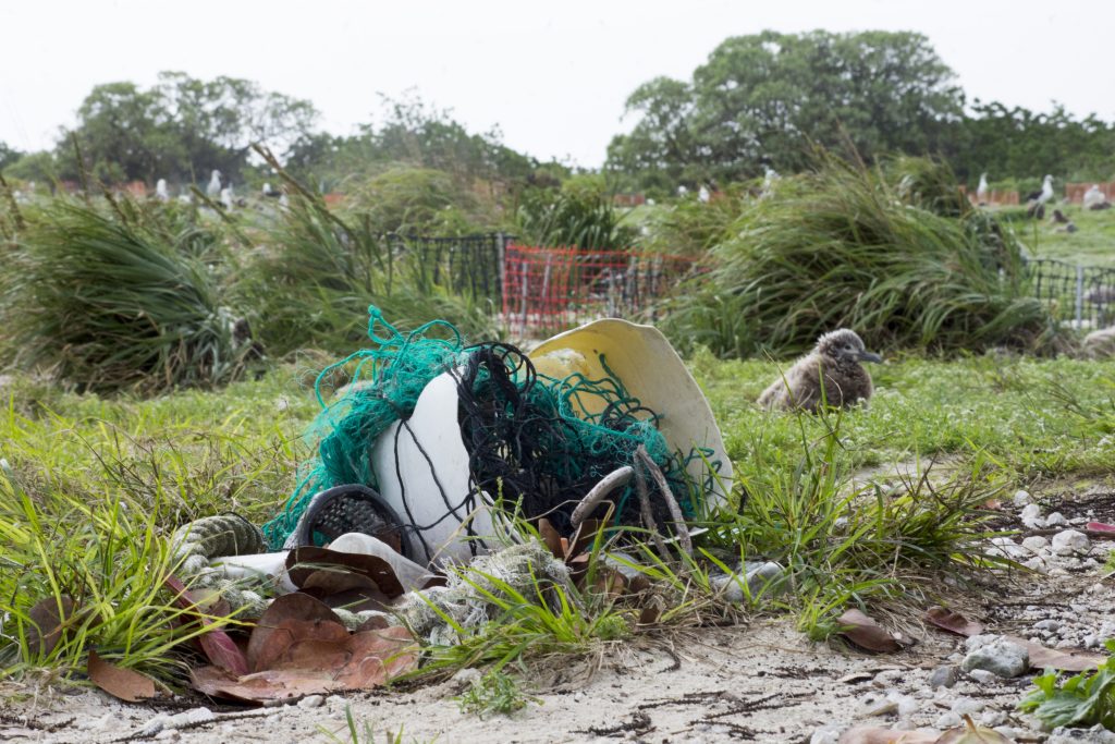 Plastikmüll und Fischernetze liegen auf Gras mit einem jungen Albatros im Hintergrund auf dem Midway Atoll