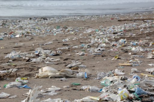 Verschmutzter Strand mit verstreutem Plastikmüll und Abfällen am Sandufer