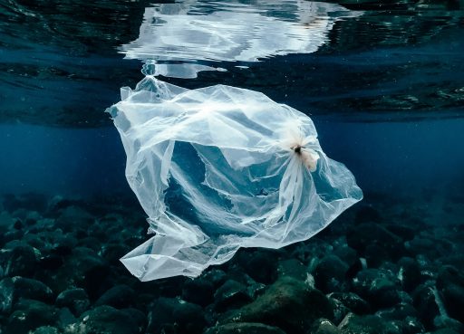 Plastiktüte treibt unter Wasser über felsigem Meeresboden