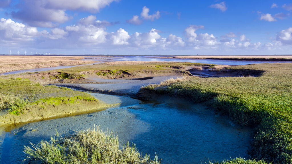 Salzwiesenlandschaft bei Westerhever mit Wasserläufen, Gräsern und Windrädern am Horizont unter blauem Himmel