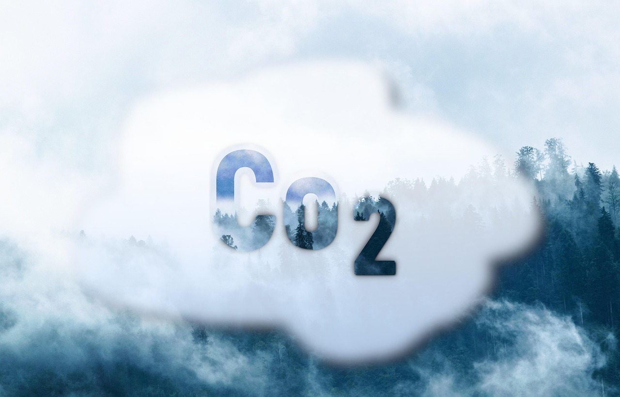 Eine Wolke die Aufschrift "Co2"