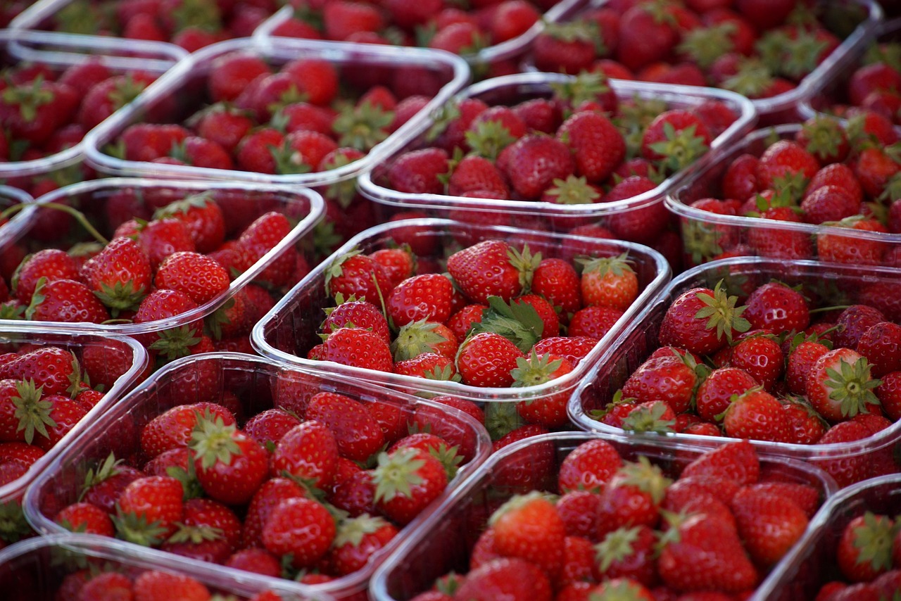 Erdbeeren in Plastikschalen