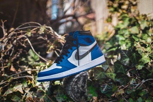 Blau-weisser Air Jordan auf grauem Holz im Wald bei Tag