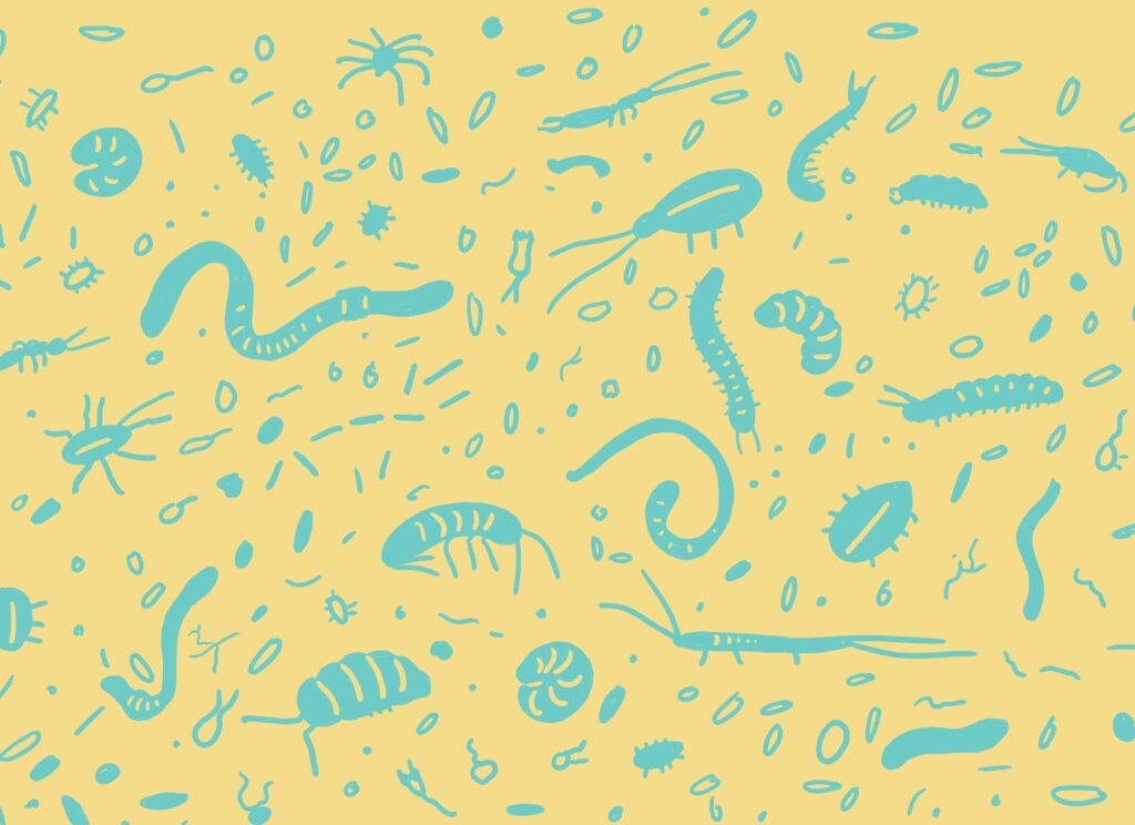 Illustration von vielen kleinen Bodenlebewesen