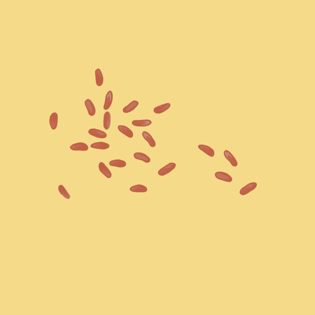 Illustration von Bakterien