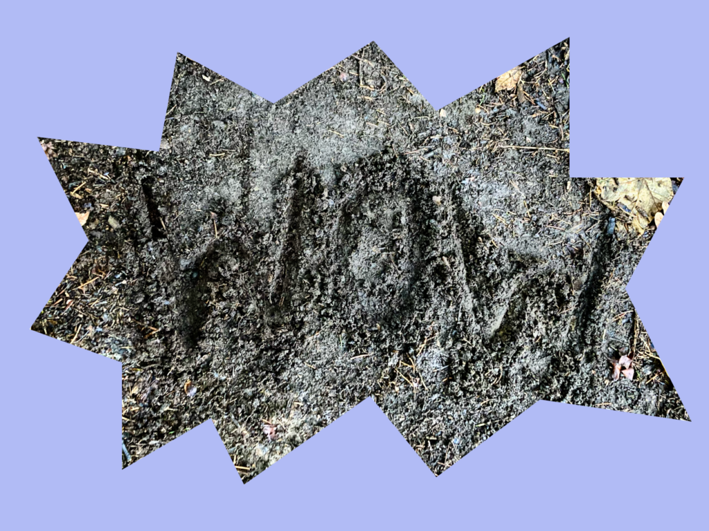 Das Wort "Wow" in den Erdboden geritzt.