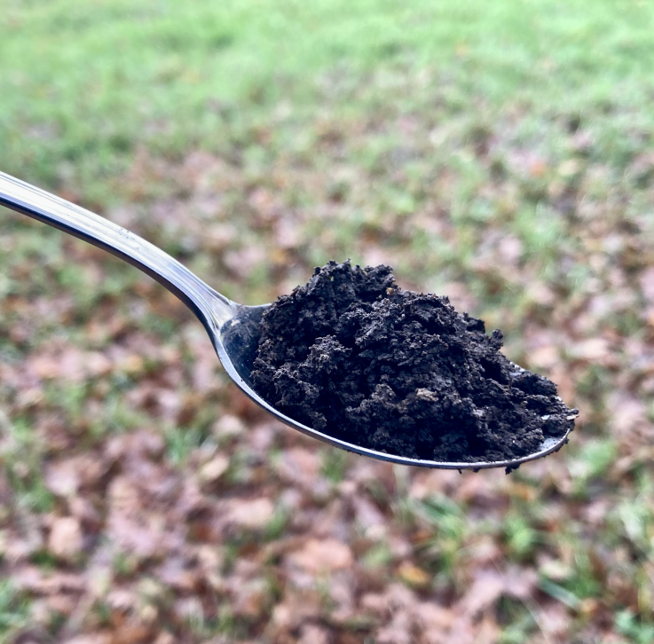 Ein Teelöffel mit Erde.