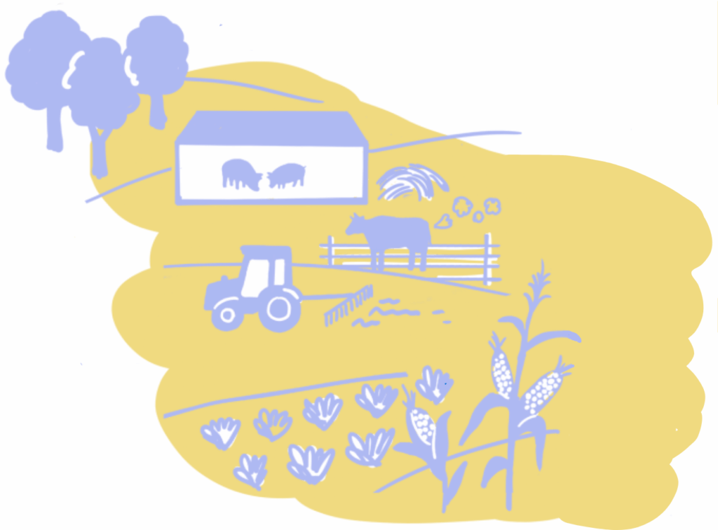Illustration: Stall mit Schweinen, eine Kuh, ein Traktor, Felder mit Salat und Mais