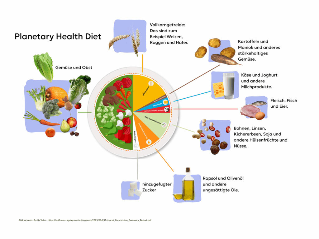 Die Grafik zeigt die Verteilung von unterschiedlichen Lebensmittel auf einem Teller nach der Planetary Health Diet.