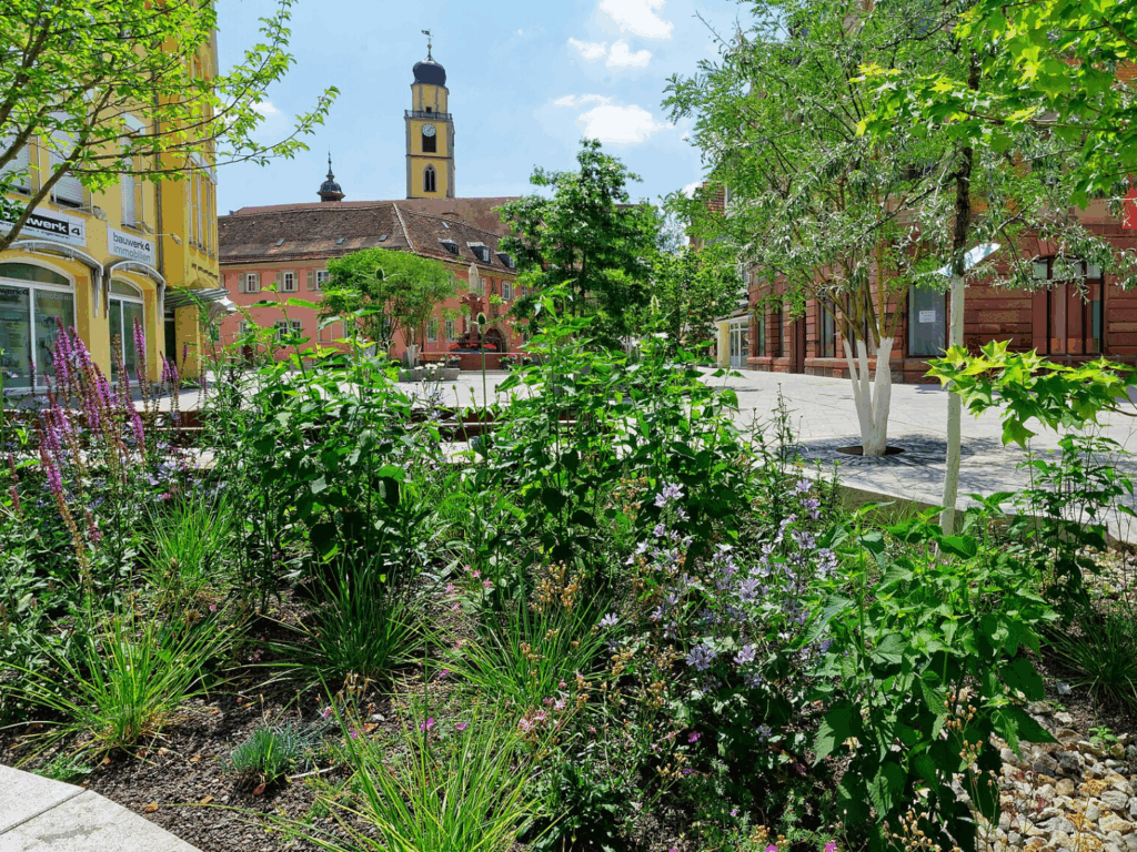 Innenstadt mit grünen Beeten und Bäumen in der Fußgängerzone.