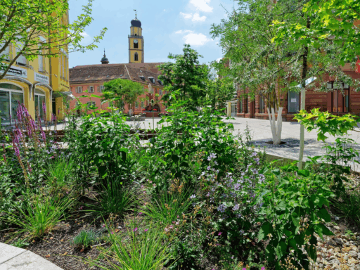 Innenstadt mit grünen Beeten und Bäumen in der Fußgängerzone.