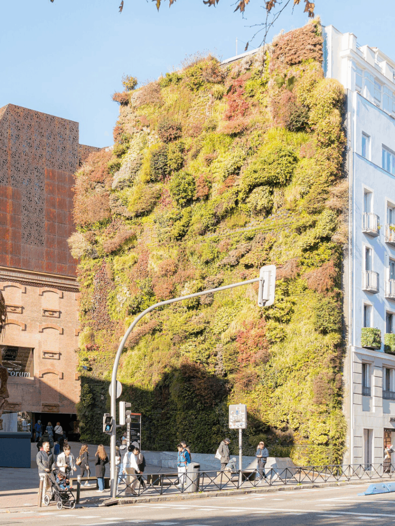 Eine mit verschiedenen Pflanzen begrünte Fassade in Madrid.