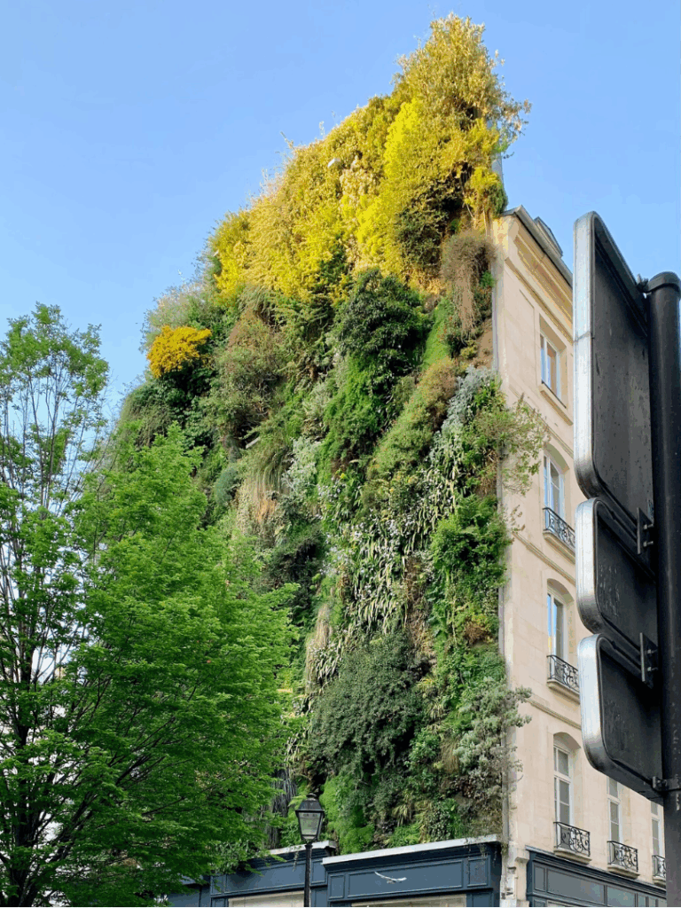 ein wild begrüntes Gebäude in Paris.