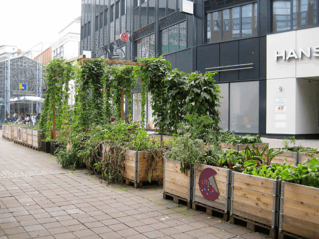 Mehrere Hochbeete aus Holz mit grünen Pflanzen in der Innenstadt.