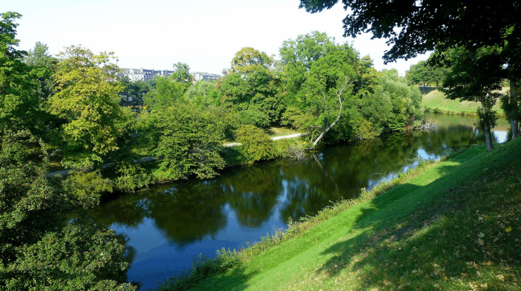 Ein Park in Kopenhagen im Sommer mit Fluss. Im Hintergrund die Stadt.