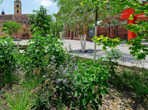 Ein großes Beet mit Pflanzen und Sträuchern auf einem Platz in einer Stadt.