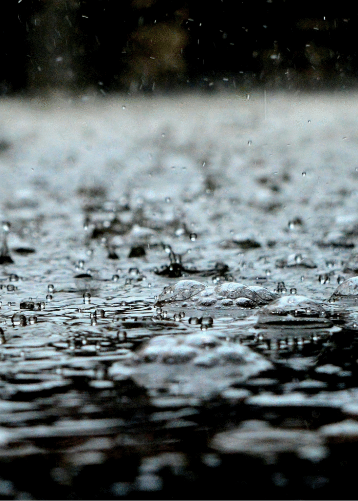 Regentropfen auf einer Wasserfläche.