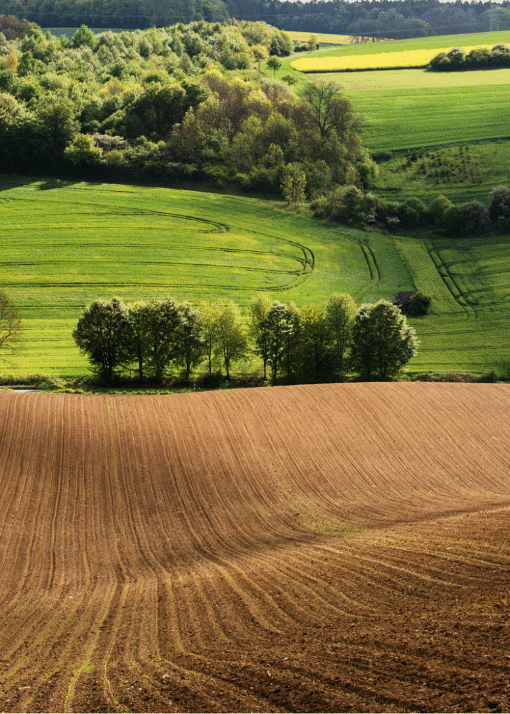 Eine Landschaft mit unbewachsenen Ackerflächen. Im Hintergrund Bäume und grüne Wiesen.
