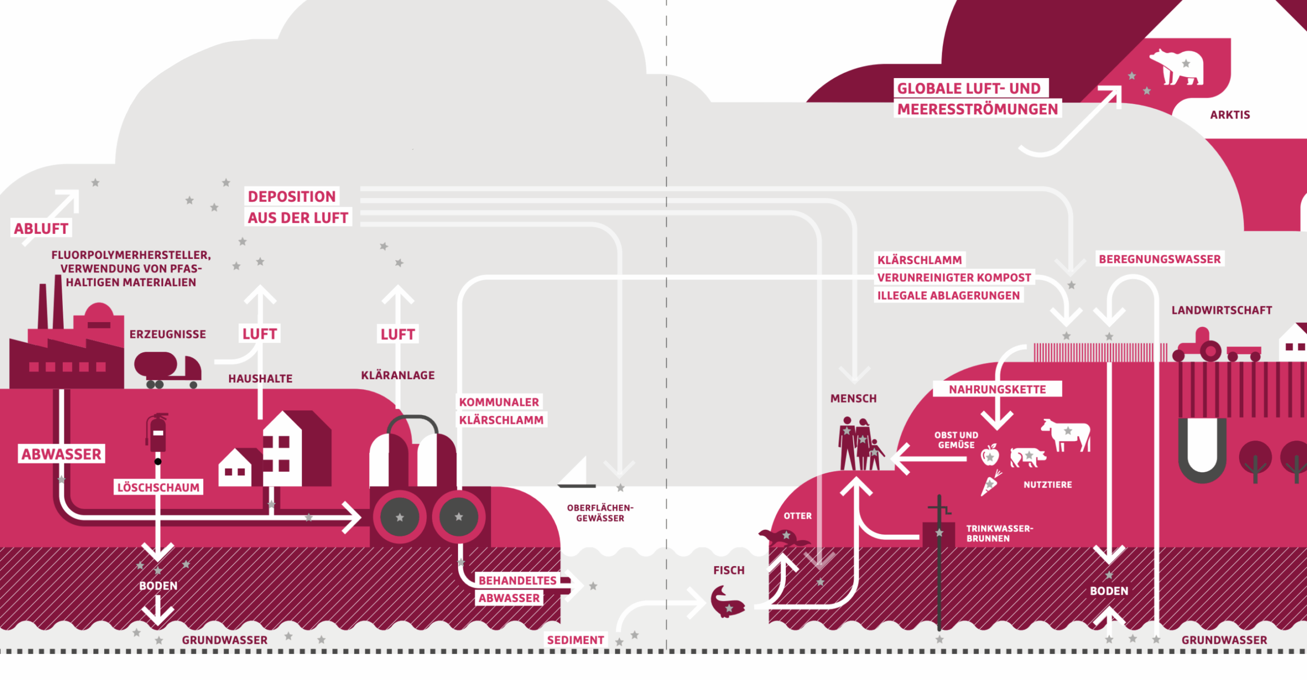 Die Grafik zeigt schemenhaft, wie PFAS aus Industrie und Haushalten in die Nahrungskette gelangen und sich weltweit verbreiten.