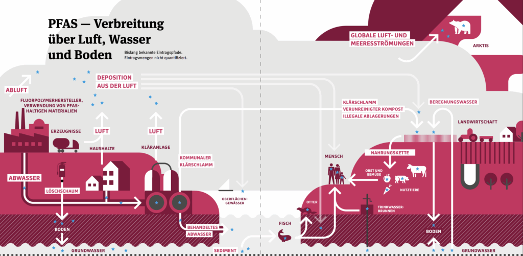 Die Grafik zeigt schemenhaft, wie PFAS aus Industrie und Haushalten in die Nahrungskette gelangen und sich weltweit verbreiten.