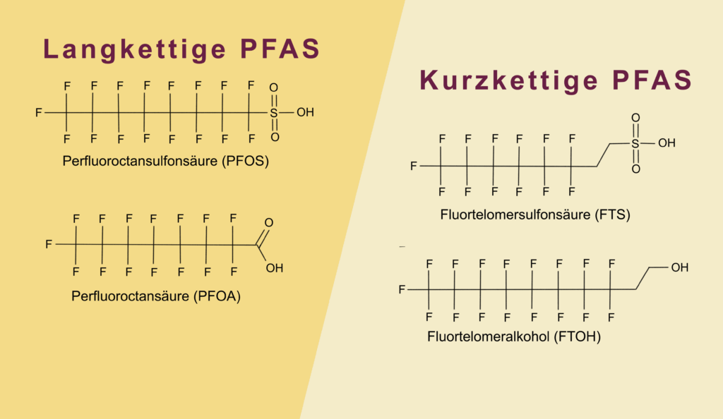 Die Strukturformen von 4 PFAS. Kurzketting und langkettig.