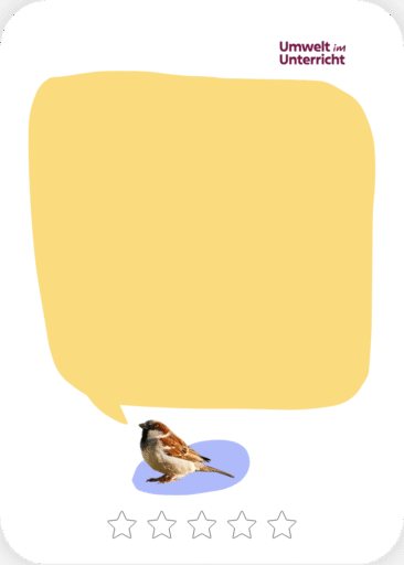 Ein Spatz mit einer Sprechblase.