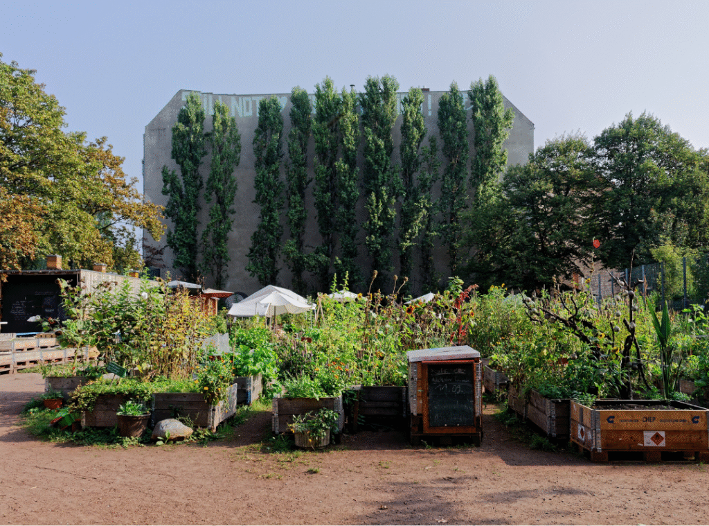 Das Himmelbeet: Ein urban gardening Projekt mit Hochbeeten mit blühenden Pflanzen.