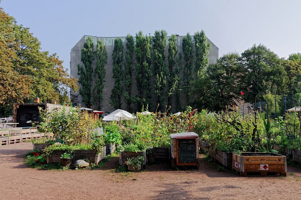 Das Himmelbeet in Berlin Wedding. Ein Gemeinschaftsgarten mit Hochbeeten.