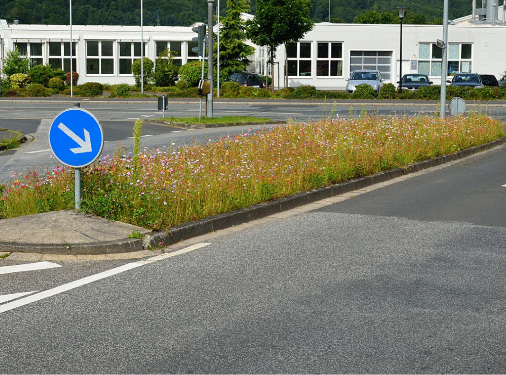 Eine begrünte Verkehrsinsel mit Blumen in Marburg.